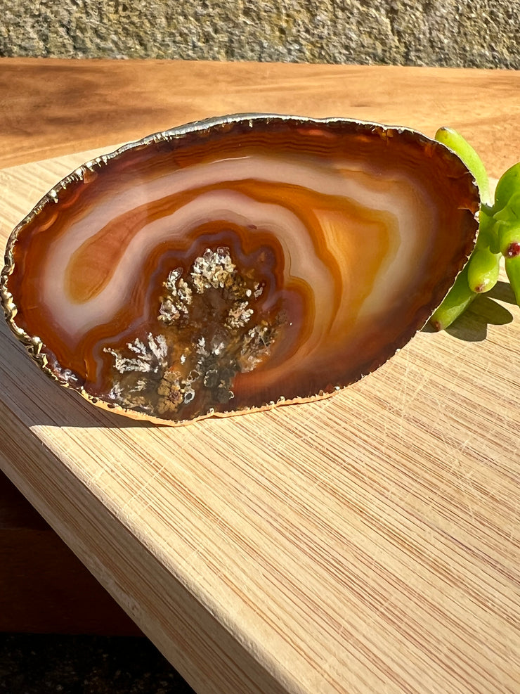 Brown Agate pop socket (popsocket) for use with iphone, androids, ipads, smartphones, and other small tecnical devices. Used for easy grip of electronics as well as a beautiful phone accessory. It is an attachment that easily tapes onto the back of the device and pops in and out as needed for use. These agate slices are natural and pure agate stones imported from Brazil of the highest quality and beautifylly gold dipped on the rim.