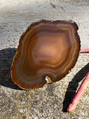Brown Agate pop socket (popsocket) for use with iphone, androids, ipads, smartphones, and other small tecnical devices. Used for easy grip of electronics as well as a beautiful phone accessory. It is an attachment that easily tapes onto the back of the device and pops in and out as needed for use. These agate slices are natural and pure agate stones imported from Brazil of the highest quality and beautifylly gold dipped on the rim.