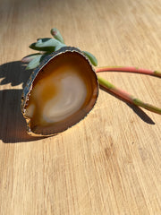 Brown Agate pop socket (popsocket) for use with iphone, androids, ipads, smartphones, and other small tecnical devices. Used for easy grip of electronics as well as a beautiful phone accessory. It is an attachment that easily tapes onto the back of the device and pops in and out as needed for use. These agate slices are natural and pure agate stones imported from Brazil of the highest quality and beautifylly gold dipped on the rim.