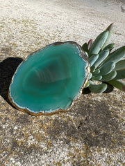 Green Agate pop socket (popsocket) for use with iphone, androids, ipads, smartphones and other small tecnical devices. Used for easy grip of electronics as well as a beautiful phone accessory. It is an attachment that easily tapes onto the back of the device and pops in and out as needed for use. These agate slices are natural and pure agate stones imported from Brazil of the highest quality and beautifylly gold dipped on the rim.