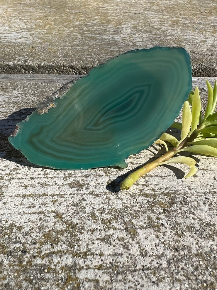 Green Agate pop socket (popsocket) for use with iphone, androids, ipads, smartphones and other small tecnical devices. Used for easy grip of electronics as well as a beautiful phone accessory. It is an attachment that easily tapes onto the back of the device and pops in and out as needed for use. These agate slices are natural and pure agate stones imported from Brazil of the highest quality with it&