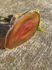 Red Agate pop socket (popsocket) for use with iphone, androids, ipads, smartphones and other small tecnical devices. Used for easy grip of electronics as well as a beautiful phone accessory. It is an attachment that easily tapes onto the back of the device and pops in and out as needed for use. These agate slices are natural and pure agate stones imported from Brazil of the highest quality and beautifylly gold dipped on the rim.