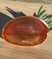 Red Agate pop socket (popsocket) for use with iphone, androids, ipads, smartphones and other small tecnical devices. Used for easy grip of electronics as well as a beautiful phone accessory. It is an attachment that easily tapes onto the back of the device and pops in and out as needed for use. These agate slices are natural and pure agate stones imported from Brazil of the highest quality and beautifylly gold dipped on the rim.