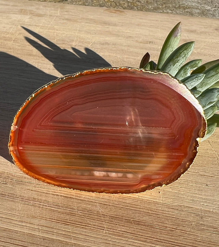 Red Agate pop socket (popsocket) for use with iphone, androids, ipads, smartphones and other small tecnical devices. Used for easy grip of electronics as well as a beautiful phone accessory. It is an attachment that easily tapes onto the back of the device and pops in and out as needed for use. These agate slices are natural and pure agate stones imported from Brazil of the highest quality and beautifylly gold dipped on the rim.