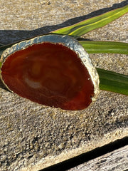 Red Agate pop socket (popsocket) for use with iphone, androids, ipads, smartphones and other small tecnical devices. Used for easy grip of electronics as well as a beautiful phone accessory. It is an attachment that easily tapes onto the back of the device and pops in and out as needed for use. These agate slices are natural and pure agate stones imported from Brazil of the highest quality and beautifylly gold dipped on the rim.
