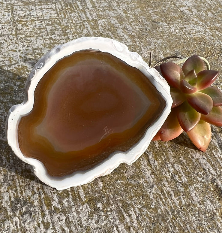 Brown Agate pop socket (popsocket) for use with iphone, androids, ipads, smartphones and other small tecnical devices. Used for easy grip of electronics as well as a beautiful phone accessory. It is an attachment that easily tapes onto the back of the device and pops in and out as needed for use. These agate slices are natural and pure agate stones imported from Brazil of the highest quality with it&