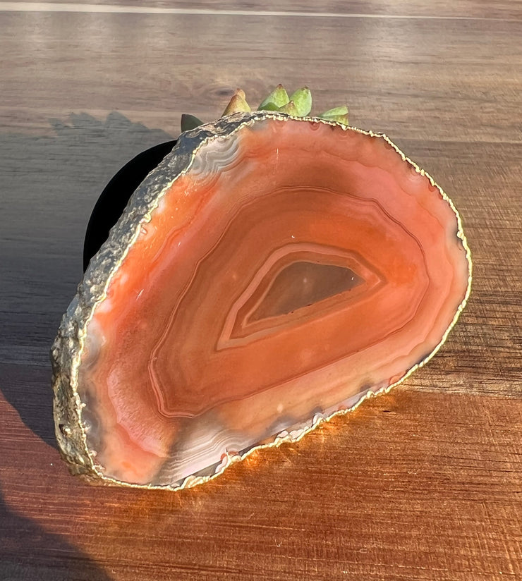 Red Agate pop socket (popsocket) for use with iphone, androids, ipads, smartphones and other small tecnical devices. Used for easy grip of electronics as well as a beautiful phone accessory. It is an attachment that easily tapes onto the back of the device and pops in and out as needed for use. These agate slices are natural and pure agate stones imported from Brazil of the highest quality and beautifylly gold dipped on the rim.