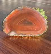 Red Agate pop socket (popsocket) for use with iphone, androids, ipads, smartphones and other small tecnical devices. Used for easy grip of electronics as well as a beautiful phone accessory. It is an attachment that easily tapes onto the back of the device and pops in and out as needed for use. These agate slices are natural and pure agate stones imported from Brazil of the highest quality and beautifylly gold dipped on the rim.