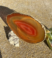 Pink Agate pop socket (popsocket) for use with iphone, androids, ipads, smartphones and other small tecnical devices. Used for easy grip of electronics as well as a beautiful phone accessory. It is an attachment that easily tapes onto the back of the device and pops in and out as needed for use. These agate slices are natural and pure agate stones imported from Brazil of the highest quality and beautifylly gold dipped on the rim.